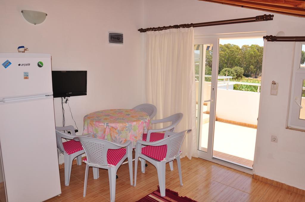 داتْشا Apartment Iskandil الغرفة الصورة